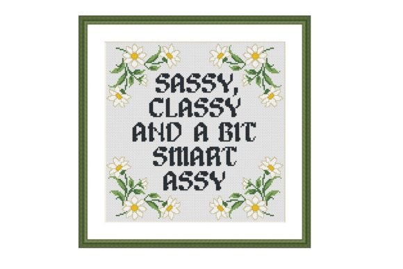 A Professional Take on the Sassy Funny Quote Cross Stitch Pattern